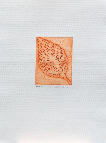 A - Kusti foglia (arancio)